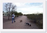 AZ Phoenix SunLife Park 001 * Walking the dogs in Mesa at Sun Life * 2160 x 1440 * (990KB)